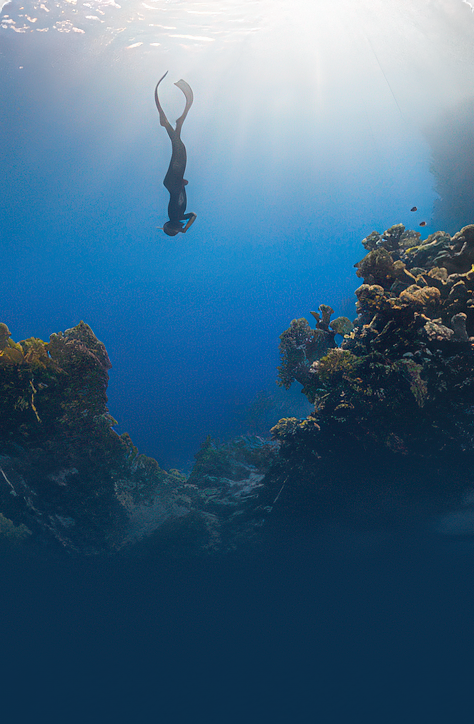 A freediver exploring a sunlit reef
