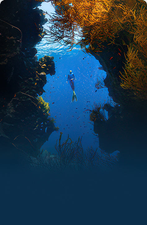A diver beneath an underwater rock arch